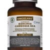 GARCINIA CAMBOGIA HCA SUPERIOR